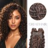 Brown 2 Bundles with Closure pixie curly