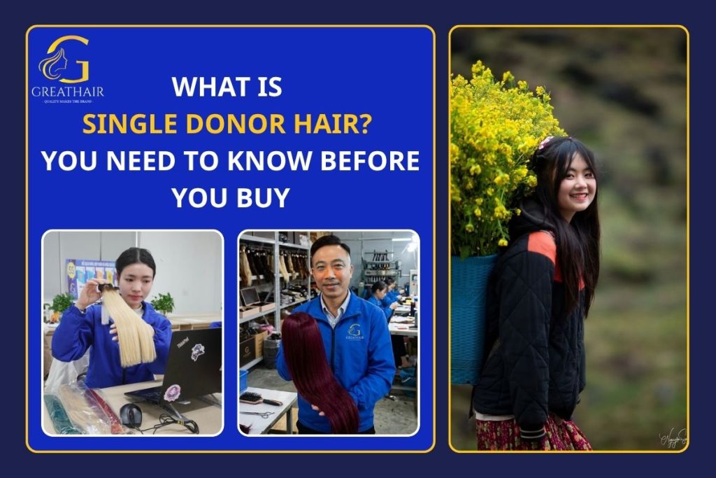 What Is Single Donor Hair? All You Need to Know Before You Buy 3 What Is Single Donor Hair All You Need to Know Before You Buy
