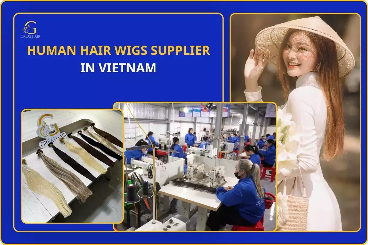 Human Hair Wigs Supplier In Vietnam 30 Human Hair Wigs Supplier In Vietnam