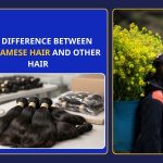The Difference Between Vietnamese Hair And Other Hair