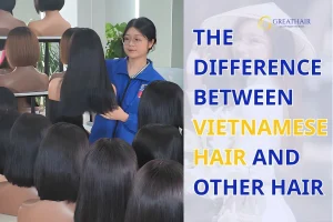 the-difference-between-vietnamese-hair-other-hair