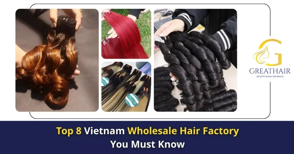 Top 8 Vietnam Wholesale Hair Factory You Must Know 4 Top 6 Vietnam Wholesale Hair Factory You Must Know