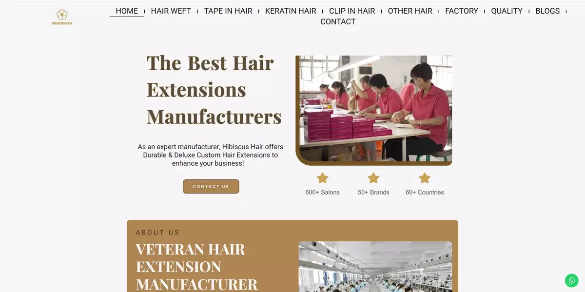 Top 10 Best Hair Extensions Brands Updated In 2026 17 Hibiscus Hair