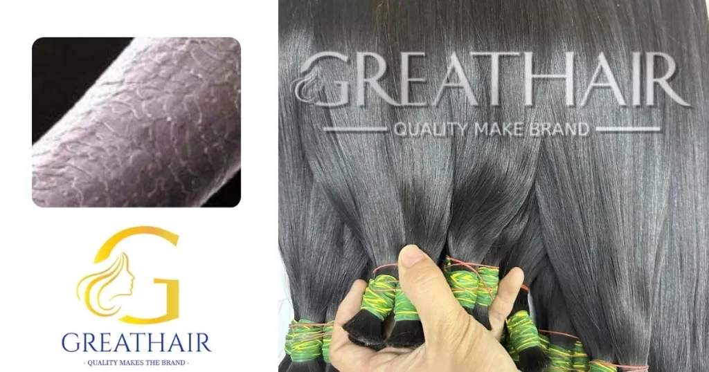 Remy Hair vs Virgin Hair vs 100% Human Hair – What’s the Difference? | Great Hair 4 Remy hair 100 Human hair