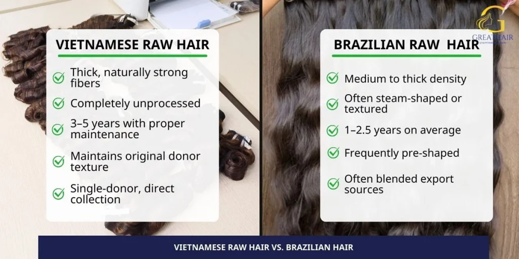 Why Vietnamese Raw Hair Outperforms Other Hair Sources 5 Vietnamese Raw Hair vs. Brazilian Hair