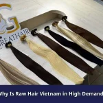 Why Is Raw Hair Vietnam in High Demand?
