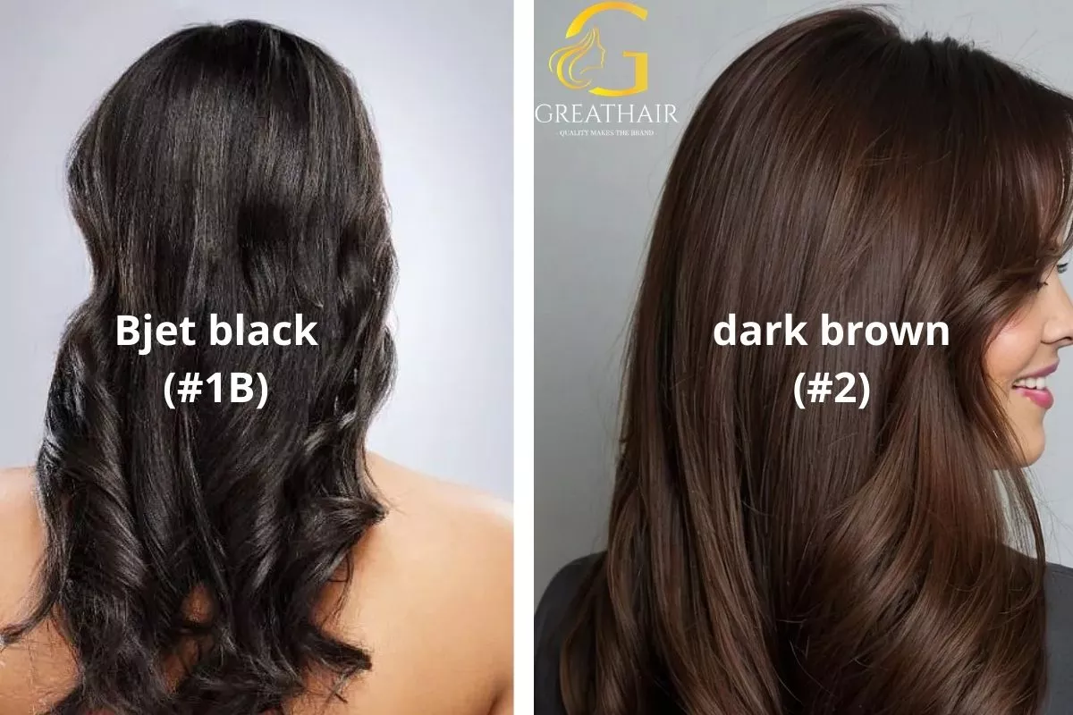 1B Hair Color Natural Black Shade, Styling Ideas & Care Tips 5 1B Hair Color vs 2