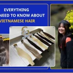 Everything You Need to Know About Vietnamese Hair