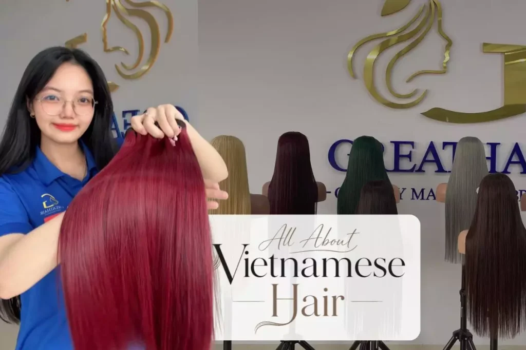 Everything You Need to Know About Vietnamese Hair