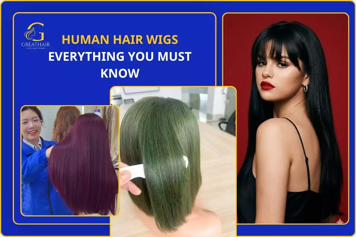 Human Hair Wigs: Everything You Must Know 11 Human Hair Wigs Everything You Must Know