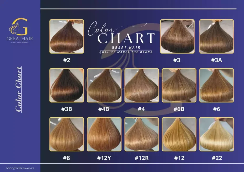 Color chart 4 Brochure