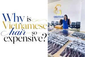 Why is Vietnamese hair so expensive?