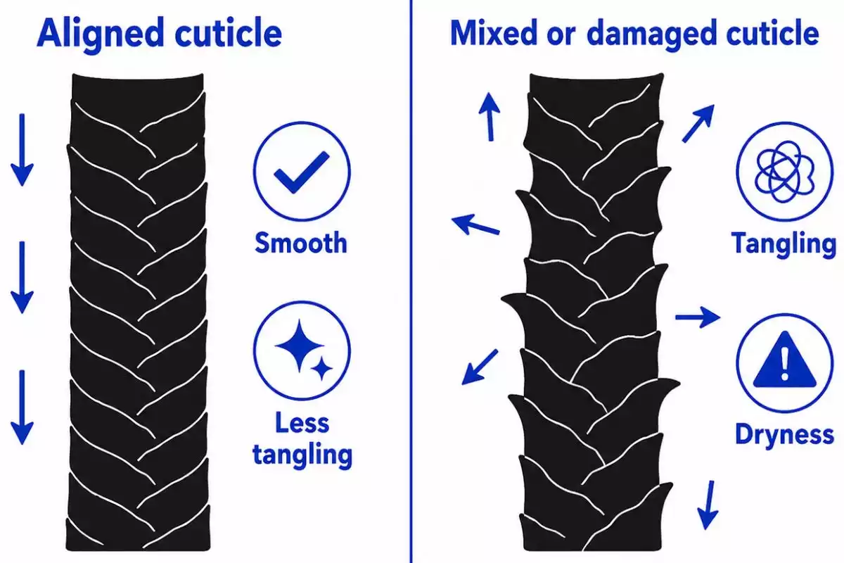 How Long Do Human Hair Wigs Last? Tips to Make Them Last 5 cuticle aligned human hair wig diagram