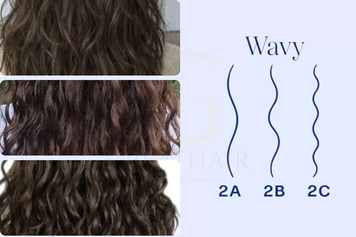 What Is a Hair Texture Chart? The Complete Guide to the 12 Natural Hair Types 5 Wavy hair forms an S-shape