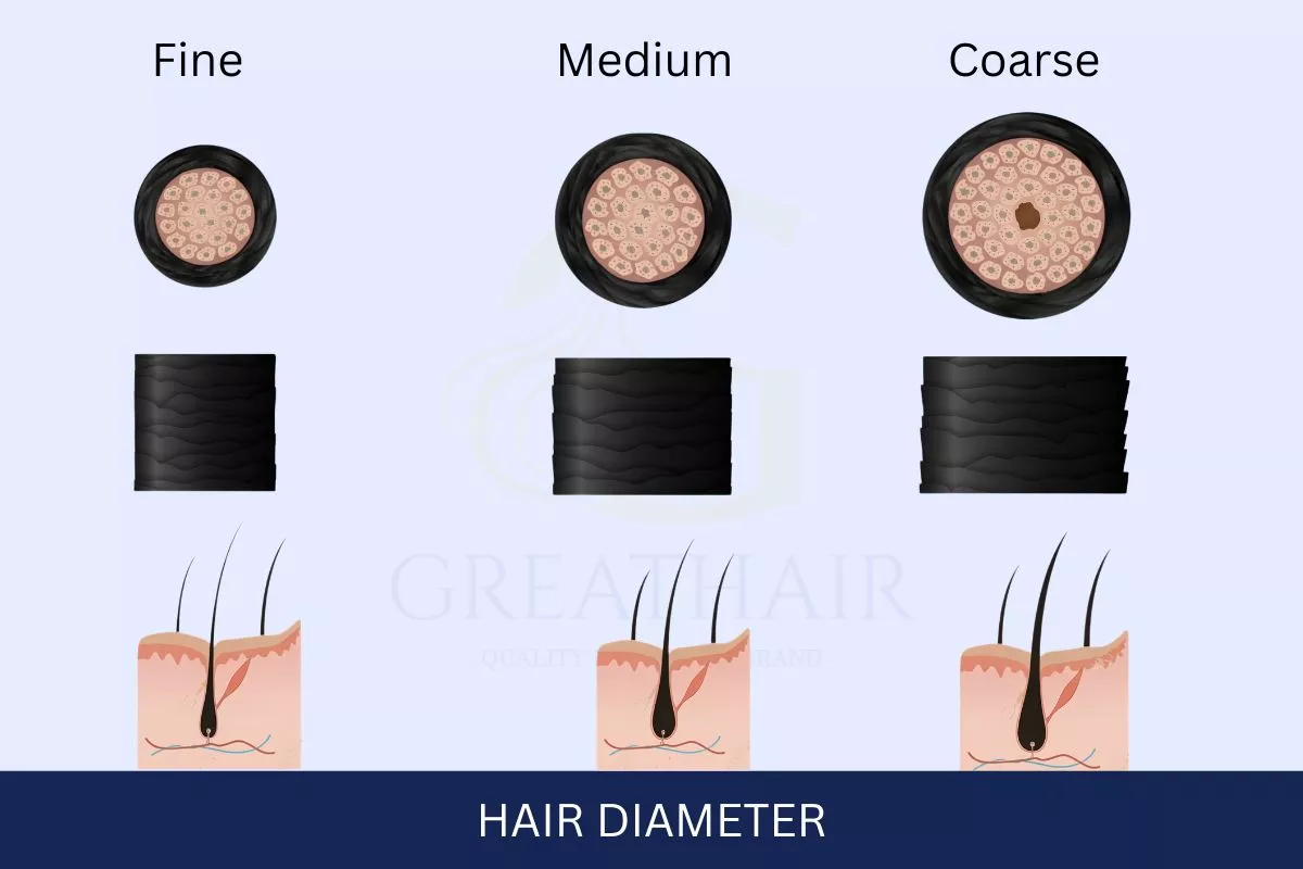 What Is a Hair Texture Chart? The Complete Guide to the 12 Natural Hair Types 3 What Hair Texture Actually Means