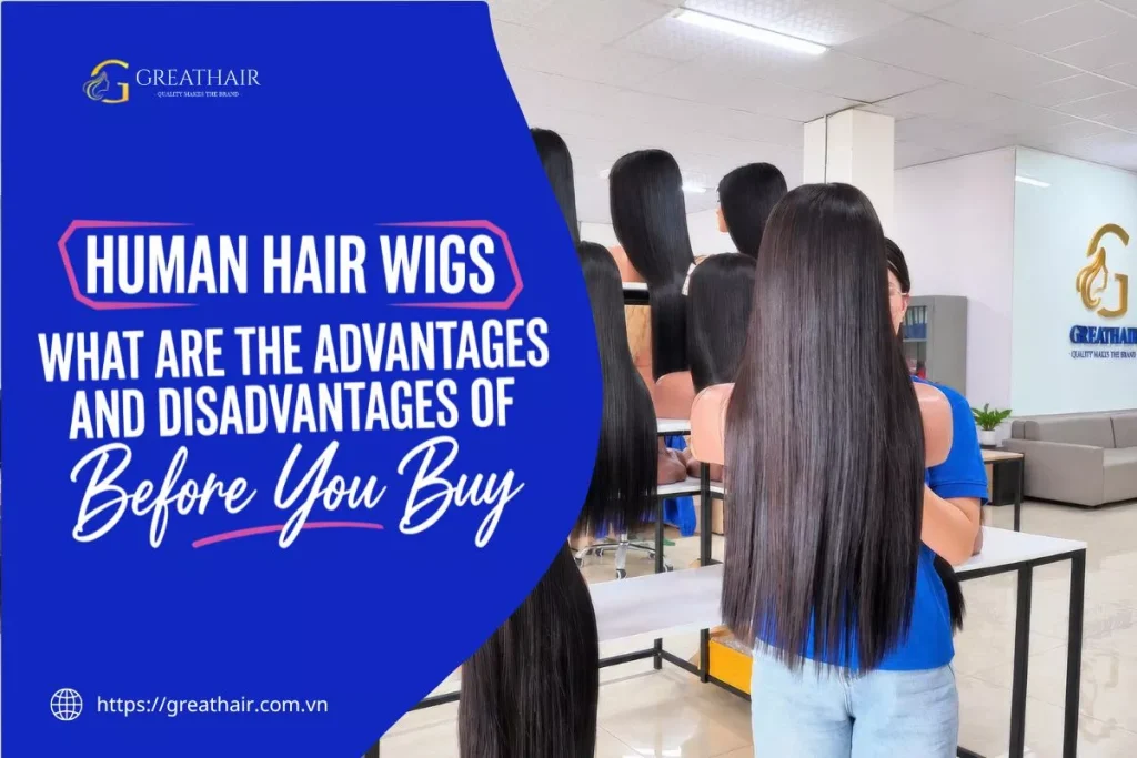 advantages and disadvantages of human hair wigs
