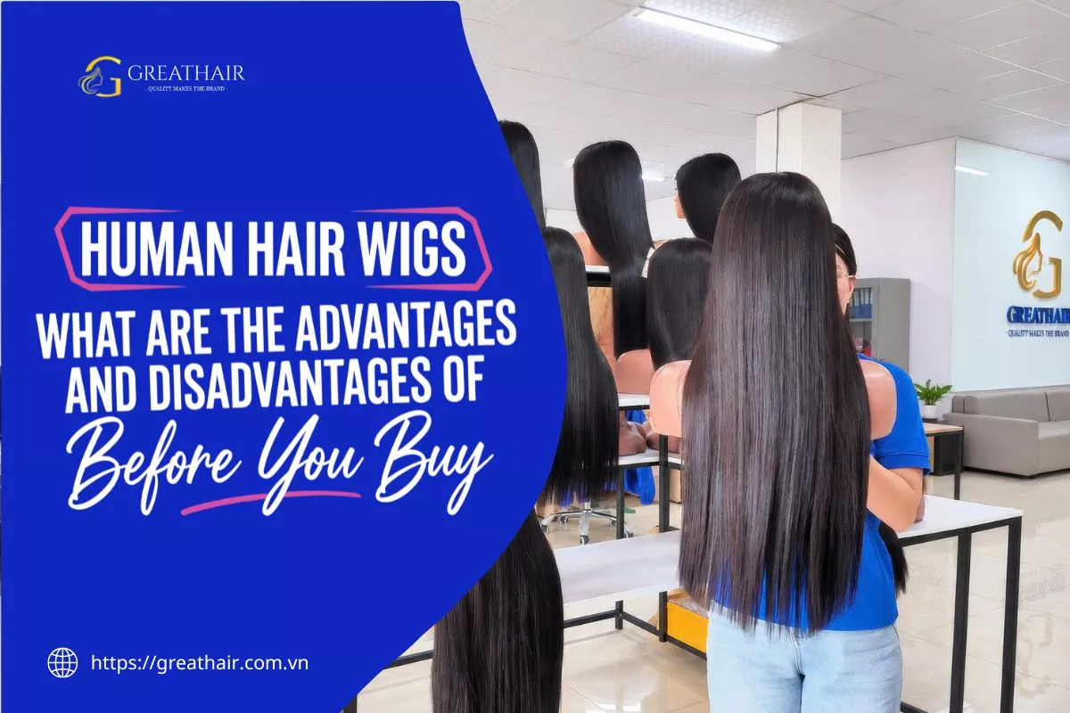 What are the advantages and disadvantages of human hair wigs? 1 advantages and disadvantages of human hair wigs